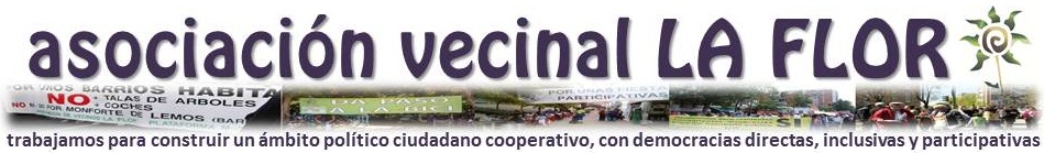 ASOCIACIÓN VECINAL LA FLOR