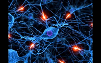 La Iniciativa Ciudadana Europea para regular la exposición al electromagnetismo, cada vez más cerca